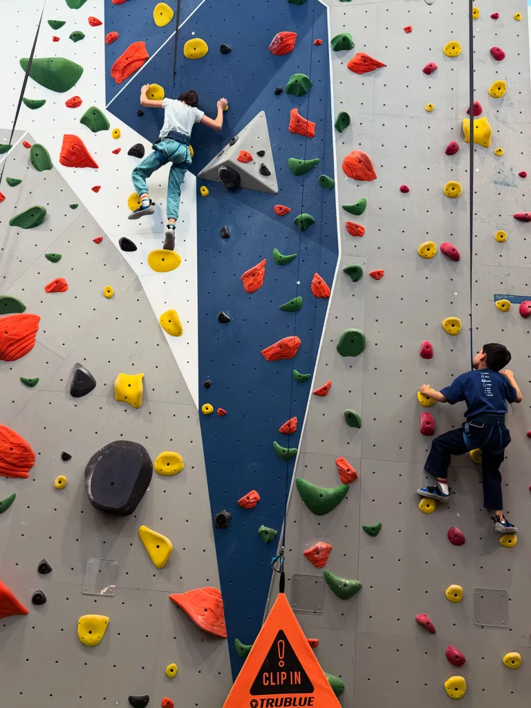 Two children partway up an indoor climbing wall, seen from below, both facing the wall.